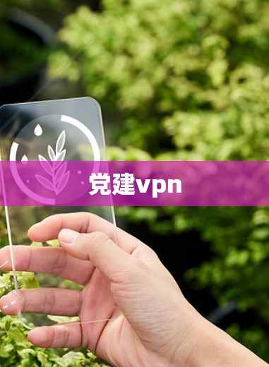 党建vpn